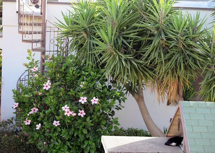 Casa Floriana A San Leone