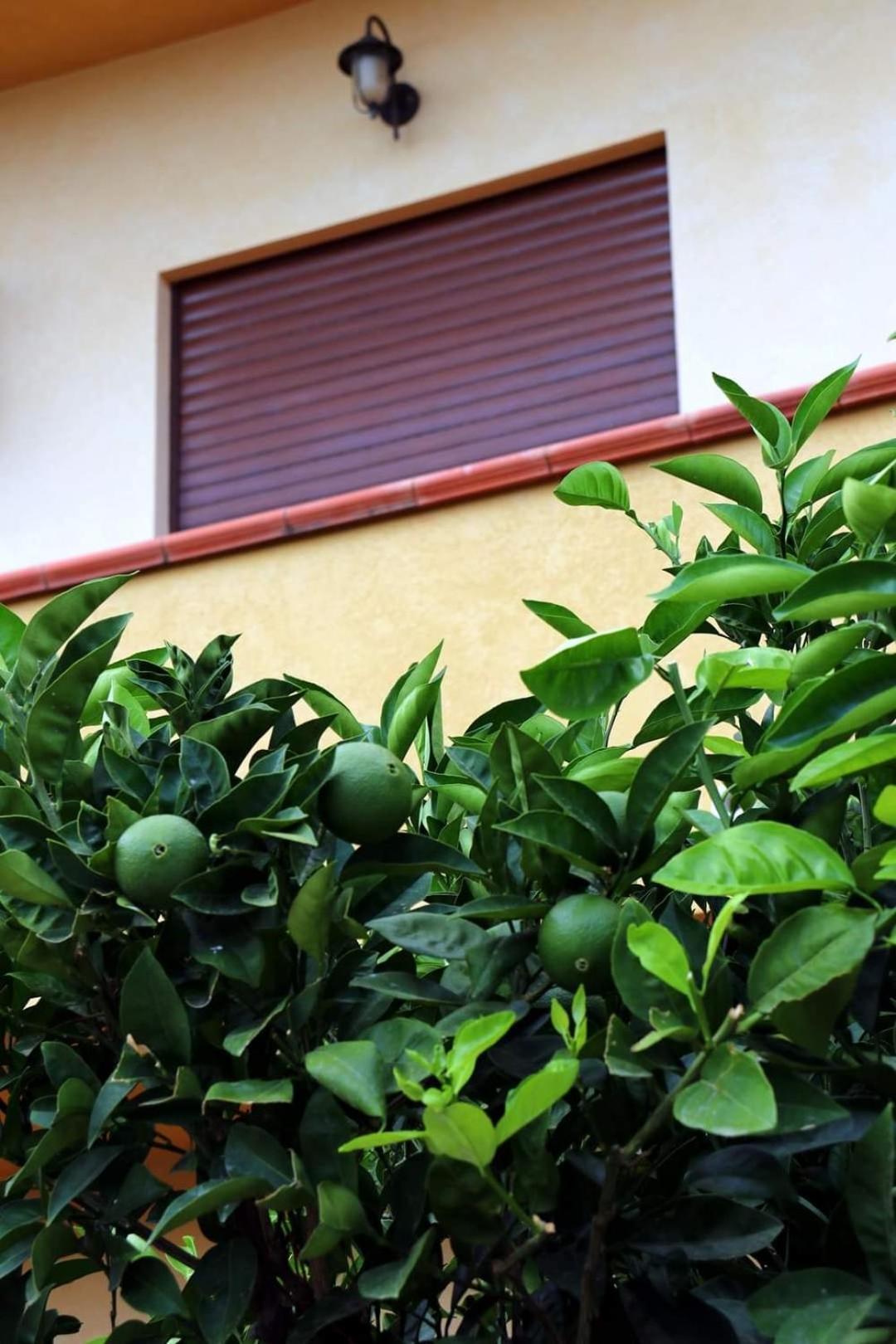 Casa Floriana A Holiday home