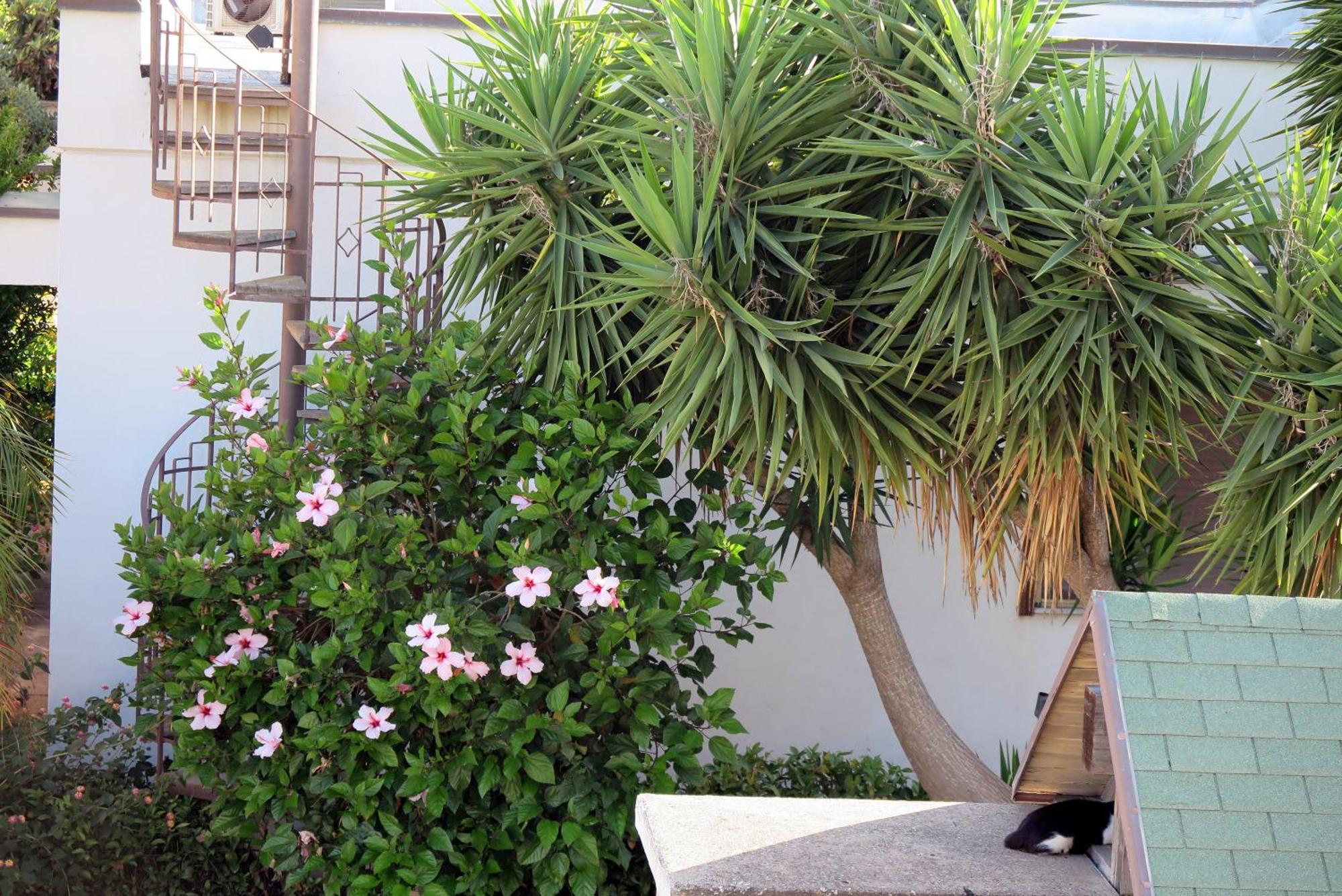 Casa Floriana A *
